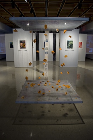 "directions to the grocery store II" installation view.