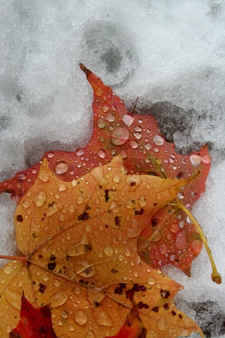 droplets.