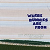 "where bunnies are from"