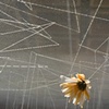 "directions to the grocery store II" installation view.
