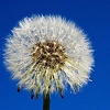 spring time.