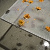 "directions to the grocery store II" installation view.