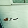 siesta shadows.