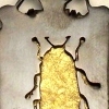 back view of Second to Sup