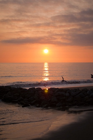 Malibu