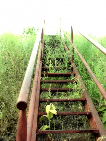 red staircase