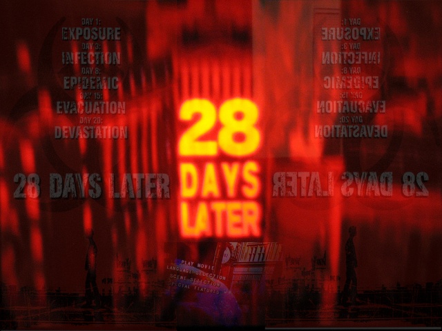 28