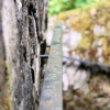 rail
