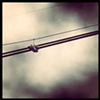 on a wire