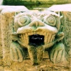 rock dragon