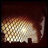 chain link