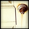 rusted