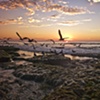 La Jolla Sunset