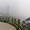 Foggy La Jolla Morning
