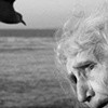 Bird Lady - La Jolla