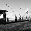 Boy escaping seagull attack, La Jolla