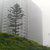 Foggy La Jolla Morning