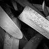 Leaves in B&W