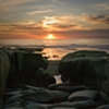 New Years Day - La Jolla