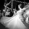 Bombay Dancer - Zoo Night