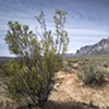 Red Rock Nevada
