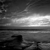 Lone Swimmer - La Jolla