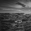 Low Tide - "Hospitals" La Jolla