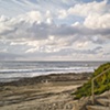 Seagall and Stairs to Beach