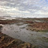 Low Tide - La Jolla