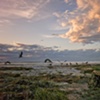 Dusk - La Jolla