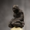 "Lonely Misanthropist"