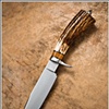 Stag Bowie