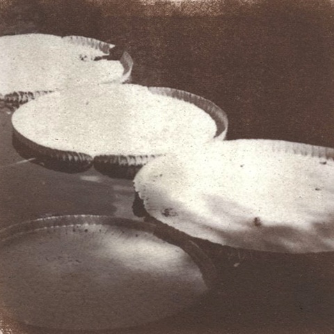 Plates