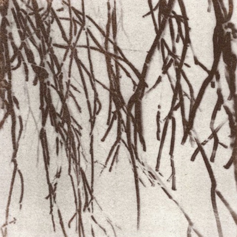 Veil