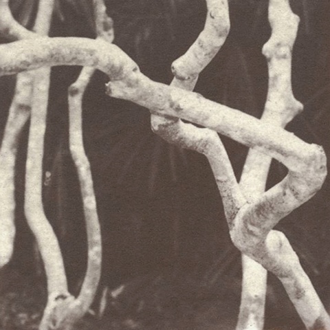 Knotted