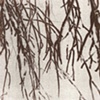 Veil