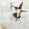 Bird That Flutters