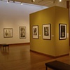 Polk Museum Exhibition