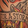 born for a storm 3