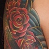 david sleeve