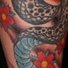 skull and snake tattoo