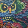 owl cover-up