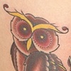 owl hip