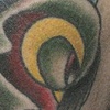 birdheart