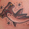 shark week 3