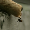 Hang in there