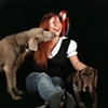 Pet Photography / Pet Portraits