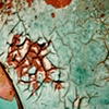 Turquoise & Rust