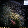 Tide Pool #1