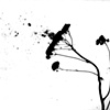 Wind (reverse)